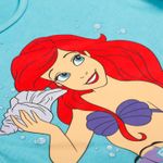233611_detalle_mic