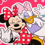 233080_detalle_mic
