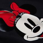 233786_detalle_mic